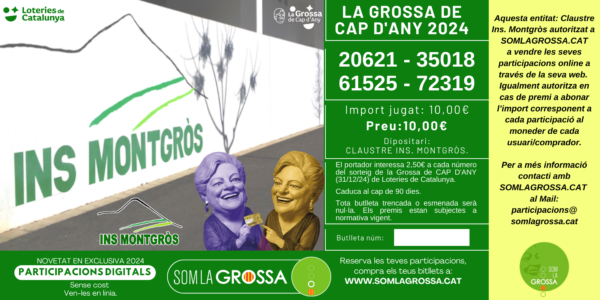 Participació Digital Ins. Montgròs 2024