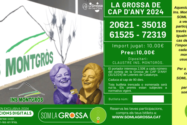 Participació Digital Ins. Montgròs 2024