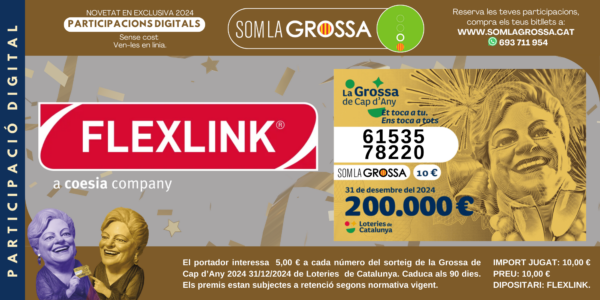 participacio empresa digital flexlink 2024