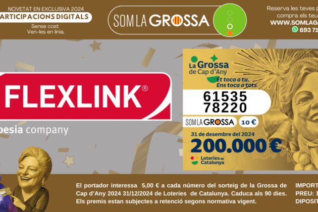 participacio empresa digital flexlink 2024